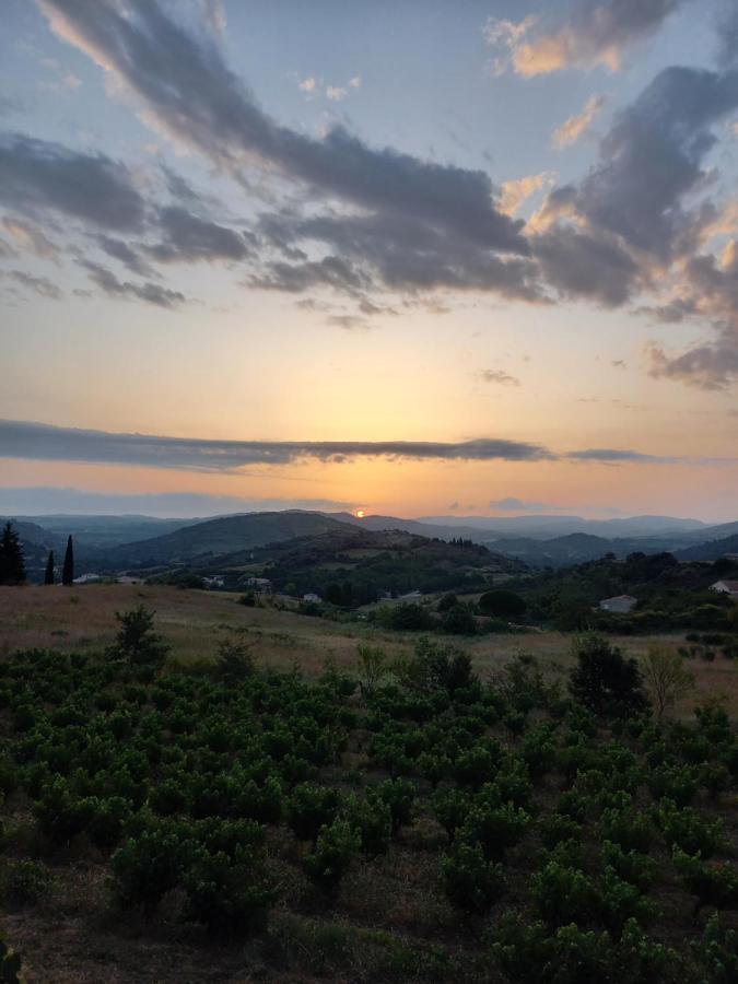 Gite Vigneron Du Domaine D'Alon Magrie Esterno foto