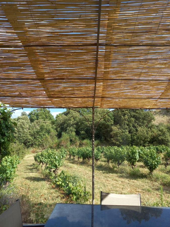 Gite Vigneron Du Domaine D'Alon Magrie Esterno foto