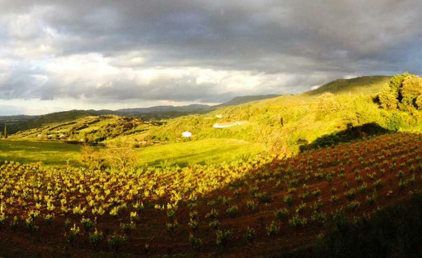 Gite Vigneron Du Domaine D'Alon Magrie Esterno foto