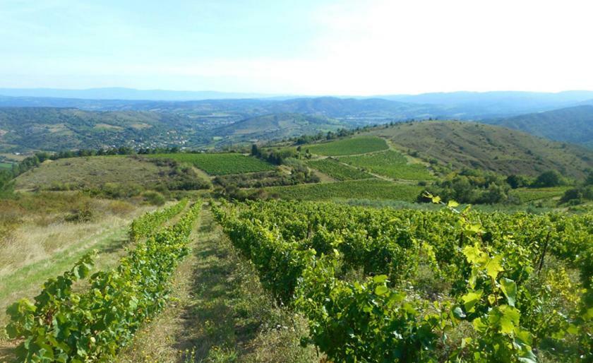 Gite Vigneron Du Domaine D'Alon Magrie Esterno foto