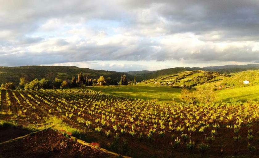 Gite Vigneron Du Domaine D'Alon Magrie Esterno foto