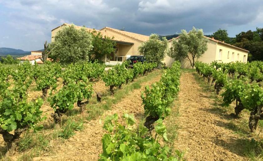 Gite Vigneron Du Domaine D'Alon Magrie Esterno foto