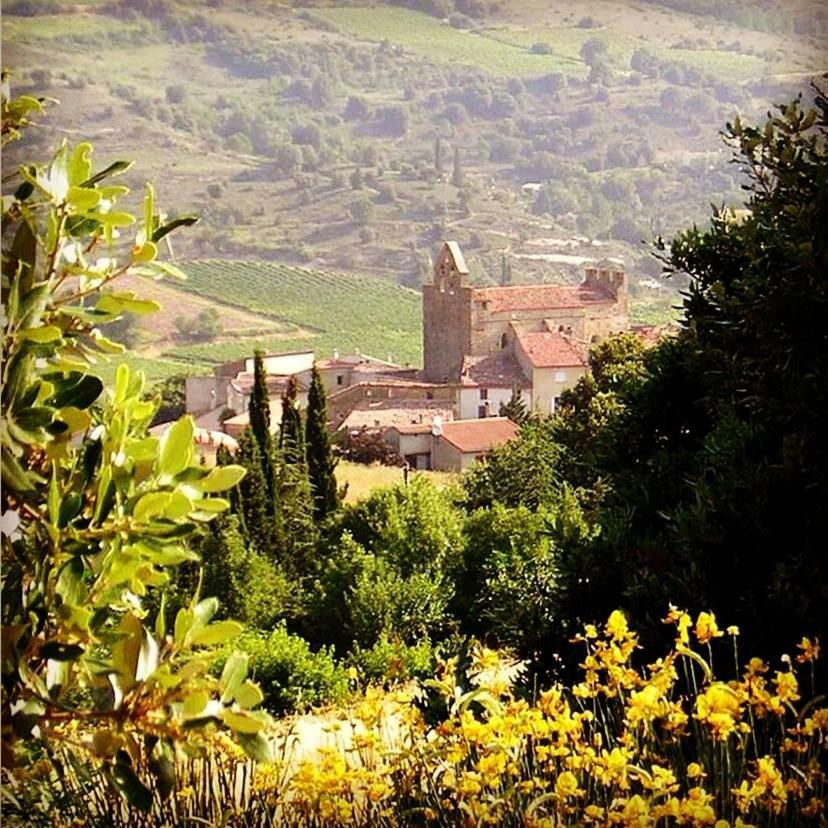 Gite Vigneron Du Domaine D'Alon Magrie Esterno foto
