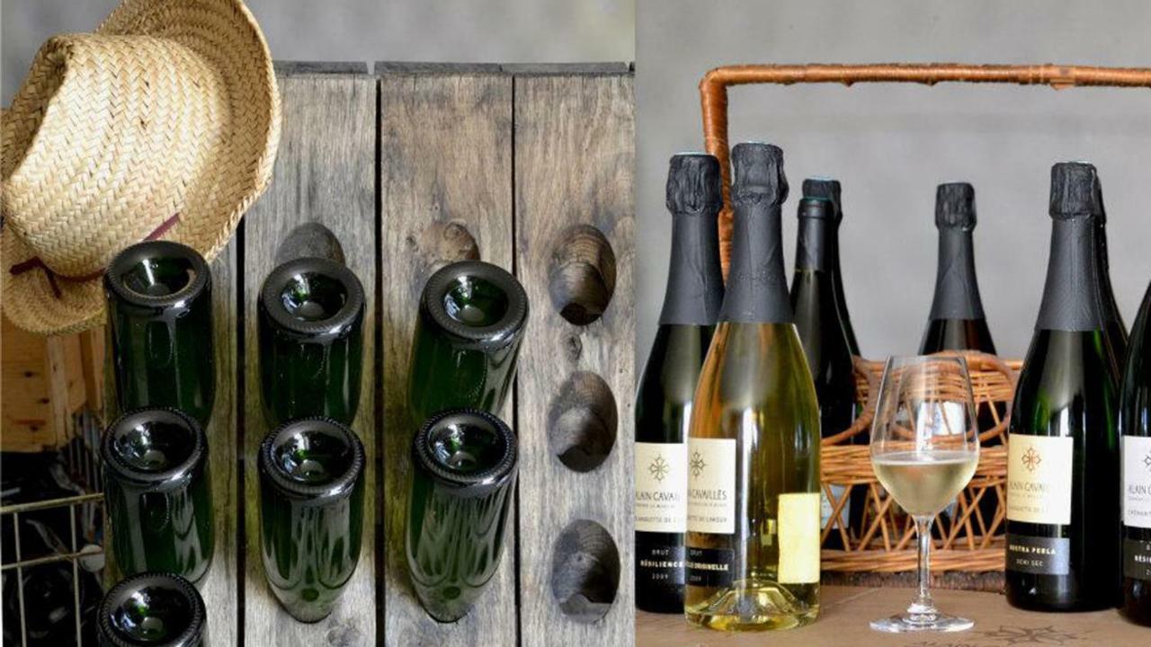 Gite Vigneron Du Domaine D'Alon Magrie Esterno foto
