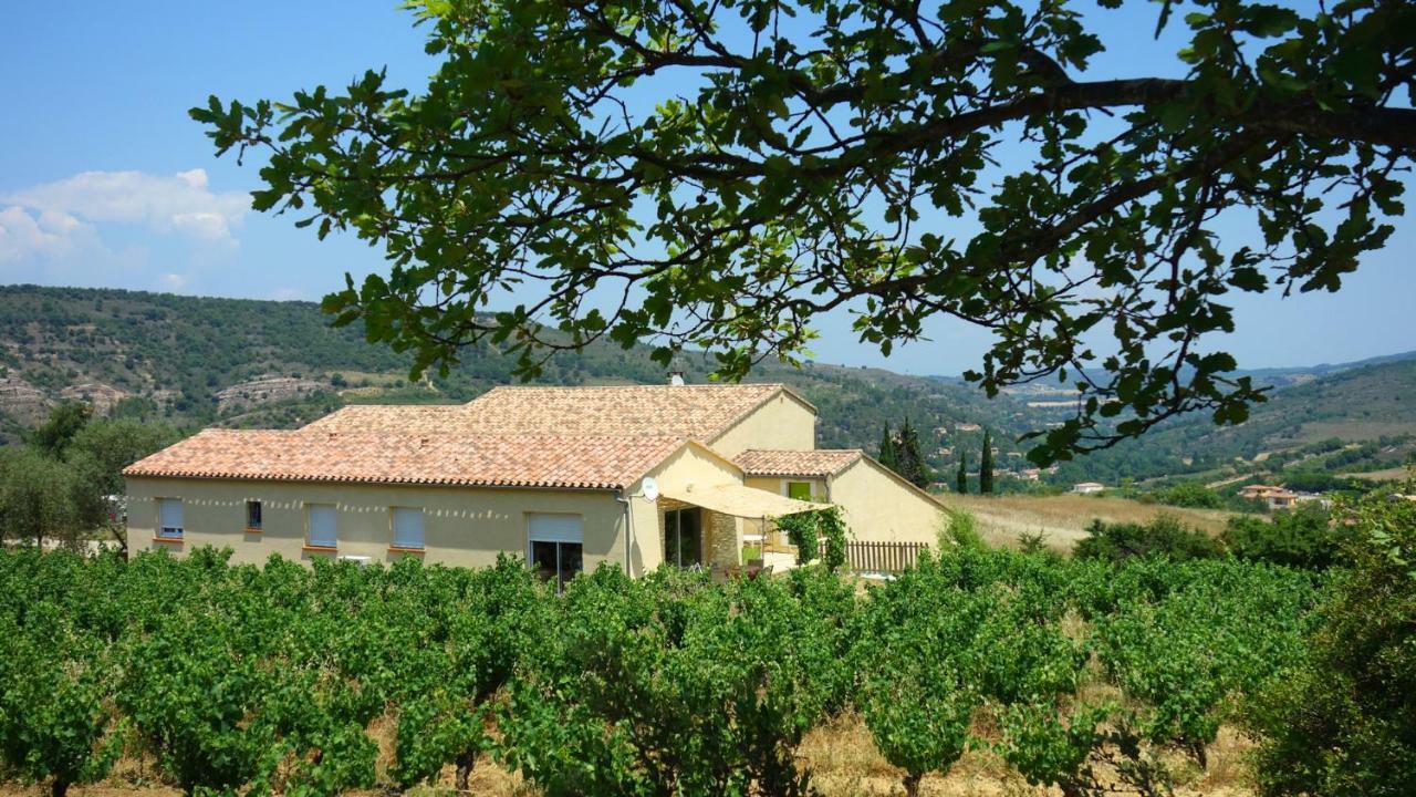 Gite Vigneron Du Domaine D'Alon Magrie Esterno foto