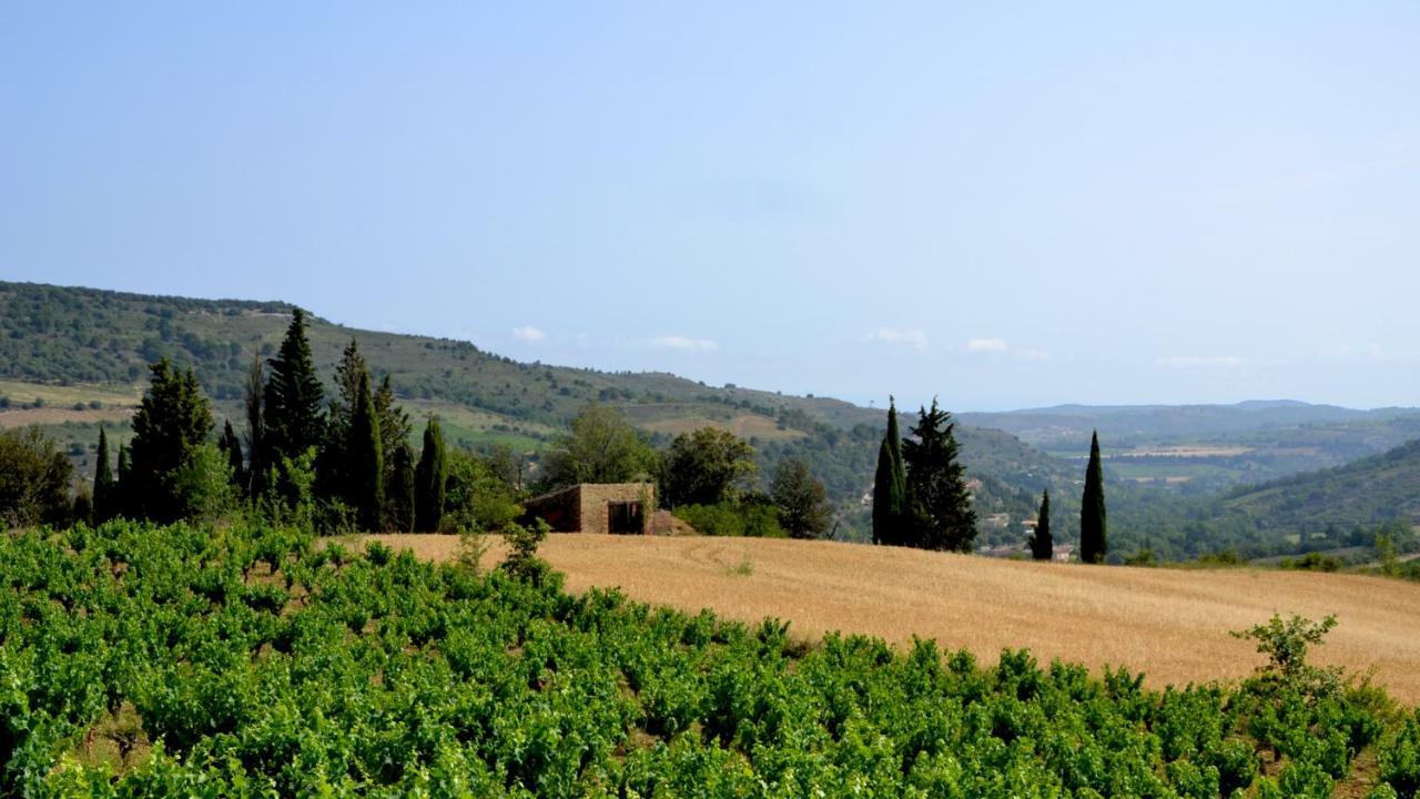 Gite Vigneron Du Domaine D'Alon Magrie Esterno foto