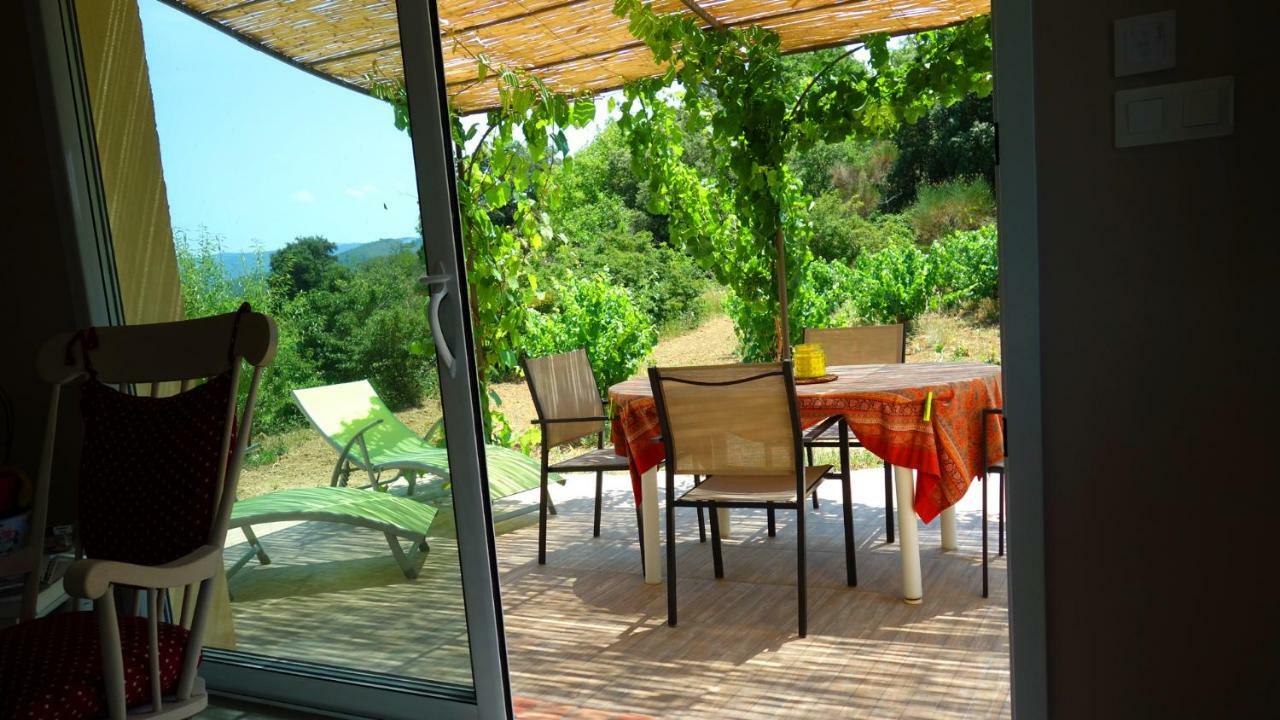 Gite Vigneron Du Domaine D'Alon Magrie Esterno foto