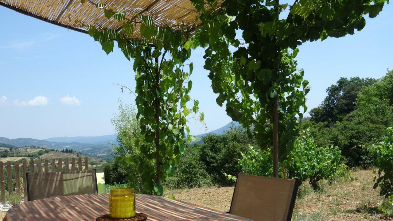 Gite Vigneron Du Domaine D'Alon Magrie Esterno foto