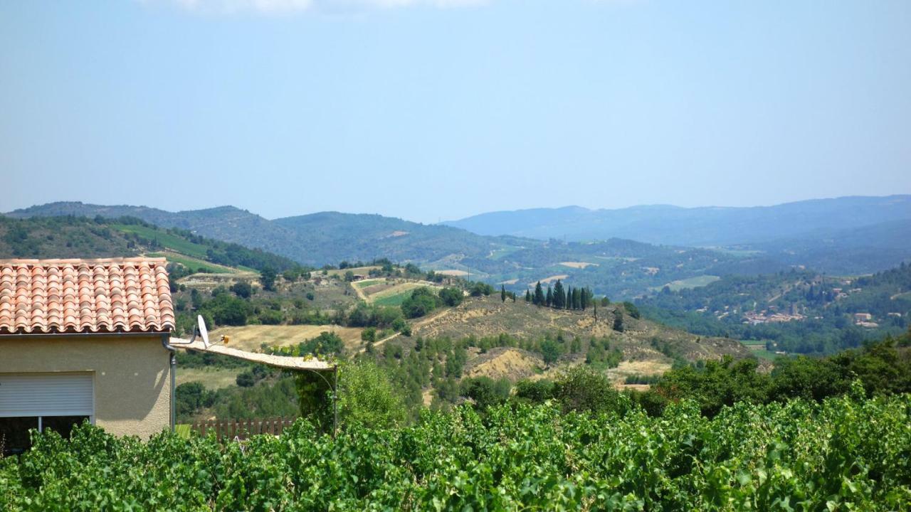 Gite Vigneron Du Domaine D'Alon Magrie Esterno foto